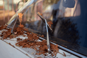 Midas Bredasdorp Windscreen Wipers